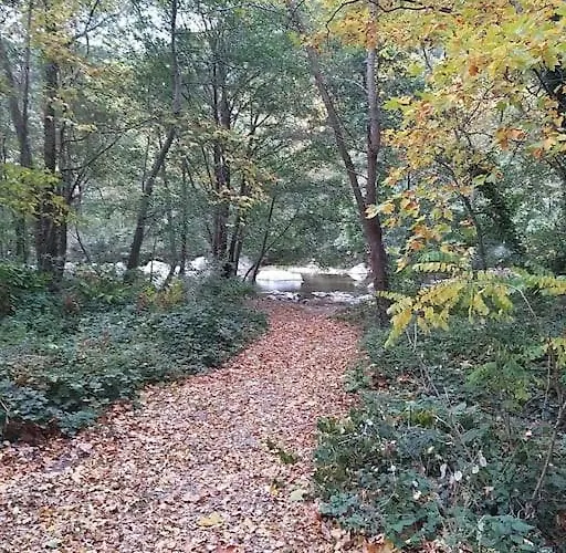 Rez De Jardin Cosy Avec Terrasse Fleurie *